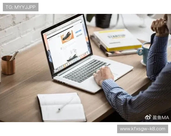 探究凯发网网站登录入口的安全性与用户体验优化方案