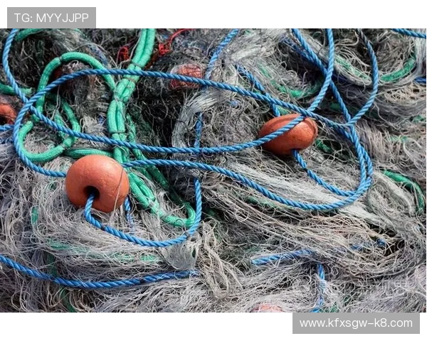 玩转ag捕鱼技巧提升游戏体验的高效操作指南与实用技巧