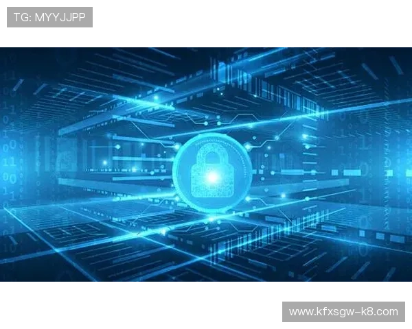 K8凯发网娱乐app的安全隐私保护措施与用户信息安全保障