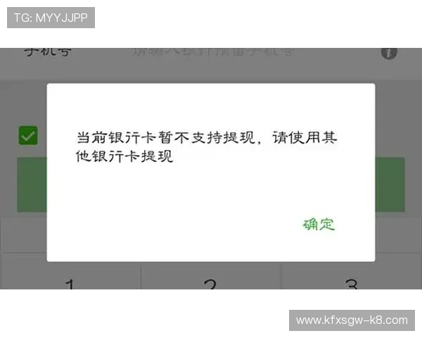 K8凯发手机官网的安全支付系统保障充值和提现的安全性
