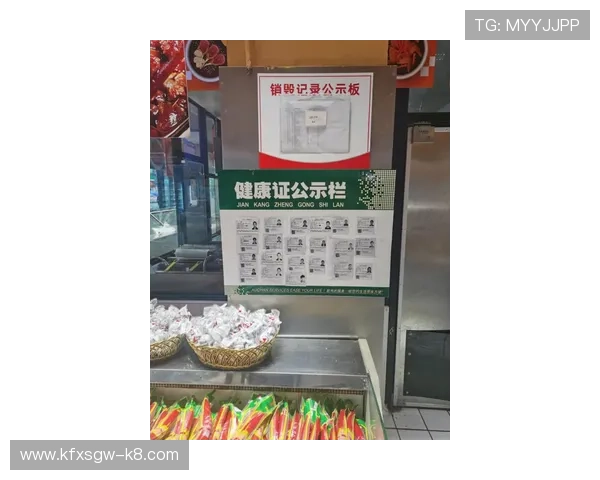 凯发手机版会员登录入口全面指南帮助玩家快速安全登录体验升级