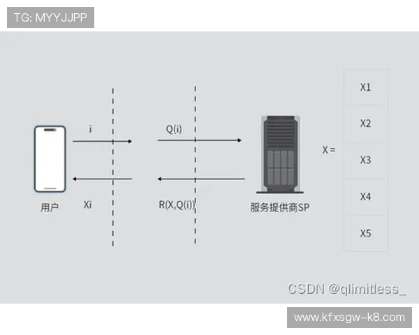 K8金沙电子平台的安全保障措施与隐私保护策略分析